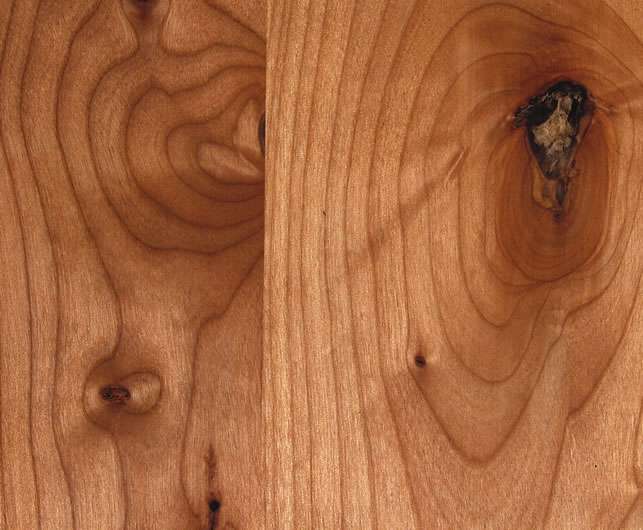 Alder Knotty